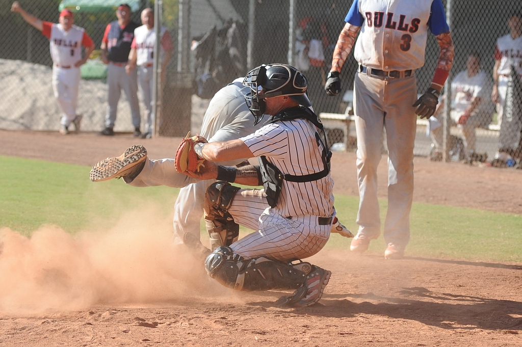 Seals_2019-10-09 (369).JPG - (c)2010 DeVetter